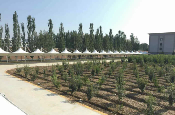 ���ͺ����ٹ���Ĥ�Y(ji��)��܇��